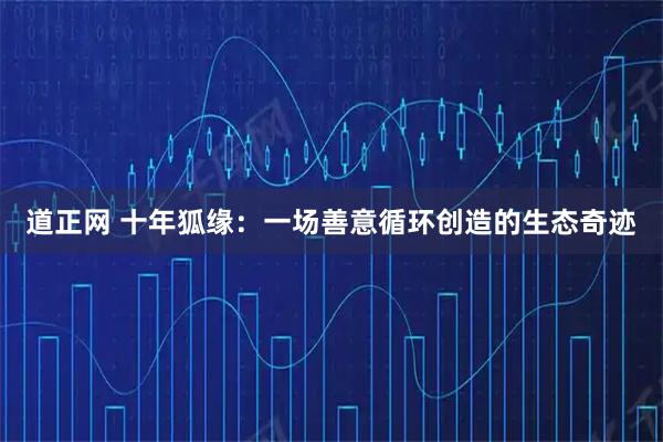 道正网 十年狐缘：一场善意循环创造的生态奇迹