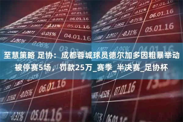 至慧策略 足协：成都蓉城球员德尔加多因粗暴举动被停赛5场，罚款25万_赛季_半决赛_足协杯